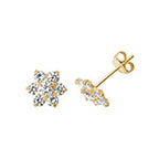 9ct Yellow Gold Earrings