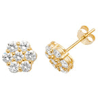 9ct Yellow Gold Earrings