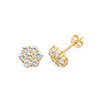 9ct Yellow Gold Earrings