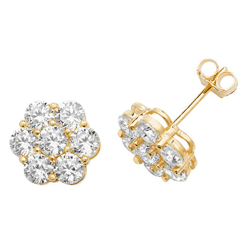 9ct Yellow Gold Earrings