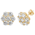 9ct Yellow Gold Earrings