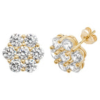 9ct Yellow Gold Earrings