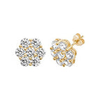 9ct Yellow Gold Earrings