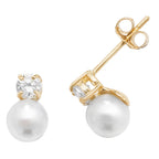 9ct Yellow Gold Earrings
