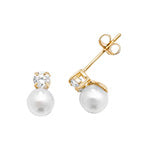 9ct Yellow Gold Earrings