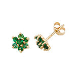 9ct Yellow Gold Earrings