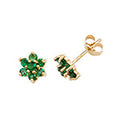 9ct Yellow Gold Earrings