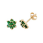 9ct Yellow Gold Earrings