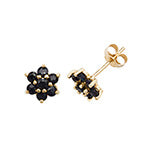 9ct Yellow Gold Earrings