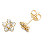 9ct Yellow Gold Earrings