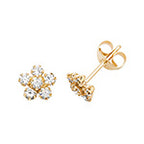 9ct Yellow Gold Earrings