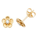 9ct Yellow Gold Earrings