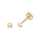 9ct Yellow Gold Earrings