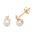 9ct Yellow Gold Earrings