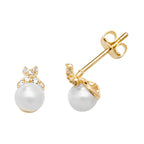 9ct Yellow Gold Earrings
