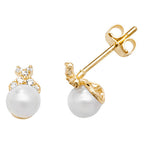 9ct Yellow Gold Earrings