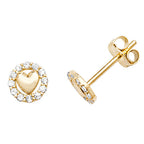 9ct Yellow Gold Earrings