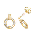 9ct Yellow Gold Earrings