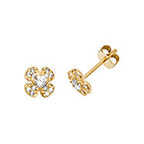 9ct Yellow Gold Earrings