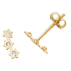 9ct Yellow Gold Earrings