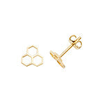 9ct Yellow Gold Earrings