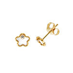 9ct Yellow Gold Earrings