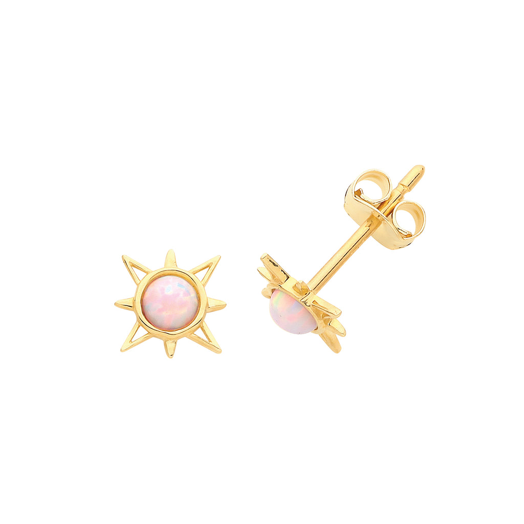 9ct Yellow Gold Earrings