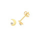9ct Yellow Gold Earrings