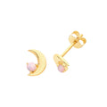 9ct Yellow Gold Earrings