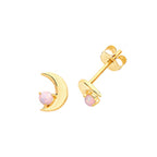 9ct Yellow Gold Earrings