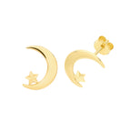 9ct Yellow Gold Earrings