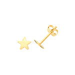 9ct Yellow Gold Earrings