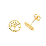 9ct Yellow Gold Earrings