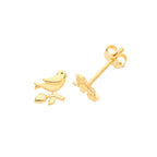 9ct Yellow Gold Earrings