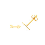 9ct Yellow Gold Earrings
