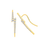 9ct Yellow Gold Earrings