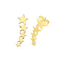 9ct Yellow Gold Earrings