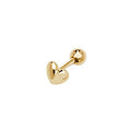 9ct Yellow Gold Earrings