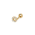 9ct Yellow Gold Earrings
