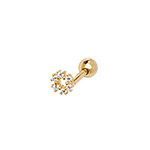 9ct Yellow Gold Earrings
