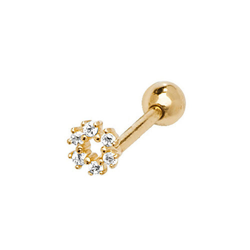 9ct Yellow Gold Earrings