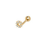 9ct Yellow Gold Earrings