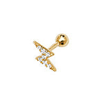 9ct Yellow Gold Earrings