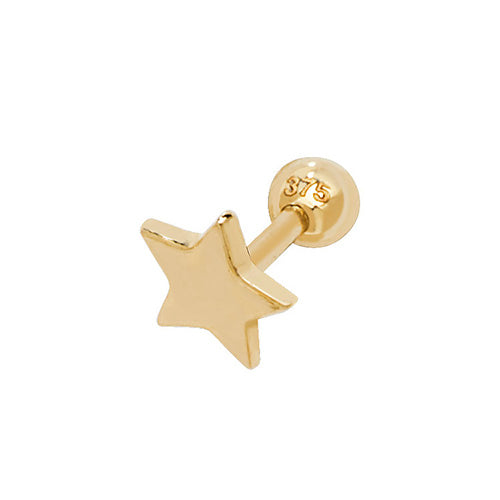 9ct Yellow Gold Earrings