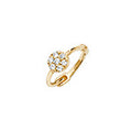 9ct Yellow Gold Earrings