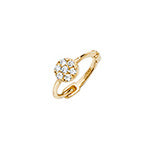 9ct Yellow Gold Earrings