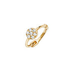 9ct Yellow Gold Earrings