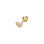 9ct Yellow Gold Earrings