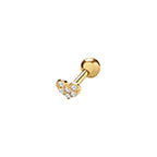 9ct Yellow Gold Earrings