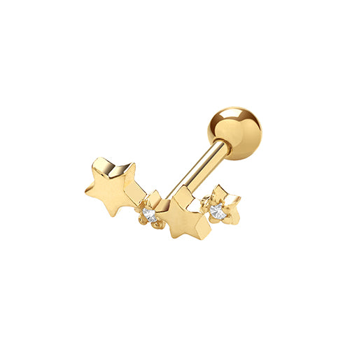 9ct Yellow Gold Earrings